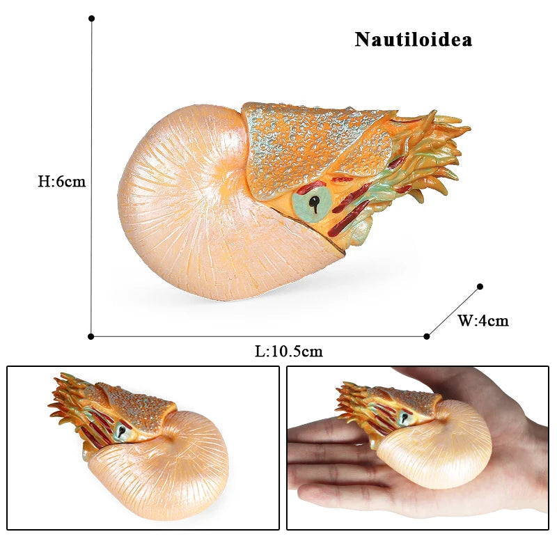 Oenux Ocean Animals Simulation Hermit Crab Nautiloidea Octopus Sea Life Model Figurines Action Figures Collection Kids Toy Gift