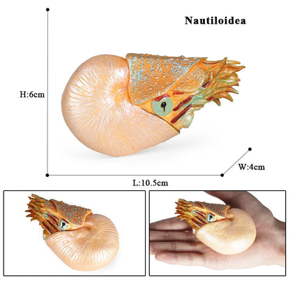 Oenux Ocean Animals Simulation Hermit Crab Nautiloidea Octopus Sea Life Model Figurines Action Figures Collection Kids Toy Gift