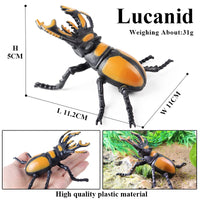 insect model 18