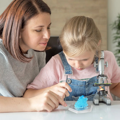 Technology Toy Crystal Planting DIY Scientific Experiment Set Fun Parent-child Communication Chemical Crystallization Principles