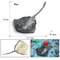 1pcs fish animals 5