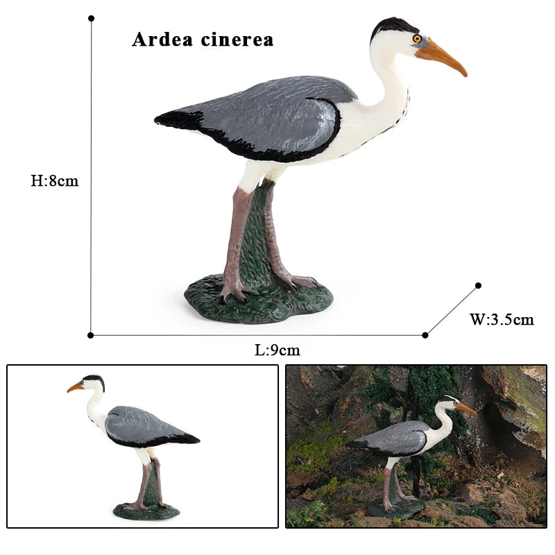 Oenux Garden Bird Figurines Snowy Owl Toucan Bucerotidae Animals Model PVC Action Figures Collection Toys For Kids Birthday Gift
