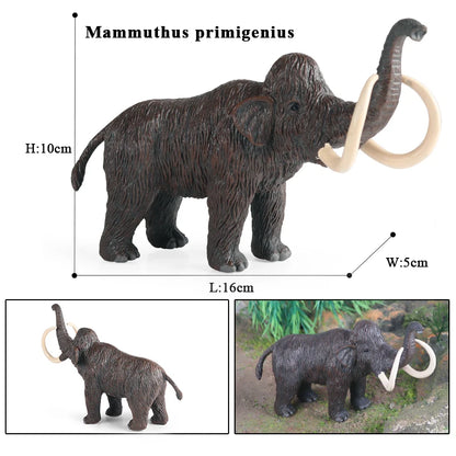 Oenux Prehistoric Wild Animals Simulation Armadillo Doedicurus Sabretooth Model Action Figures PVC Collection Toy For Kid Gift