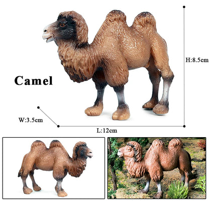 Oenux Simulation Wild Animals Toy Desert Camel Donkey Alpaca Antelope Elk Deer Model Action Figures PVC Decoration Kids Gift