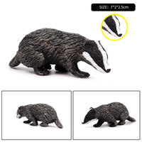 animals model 14