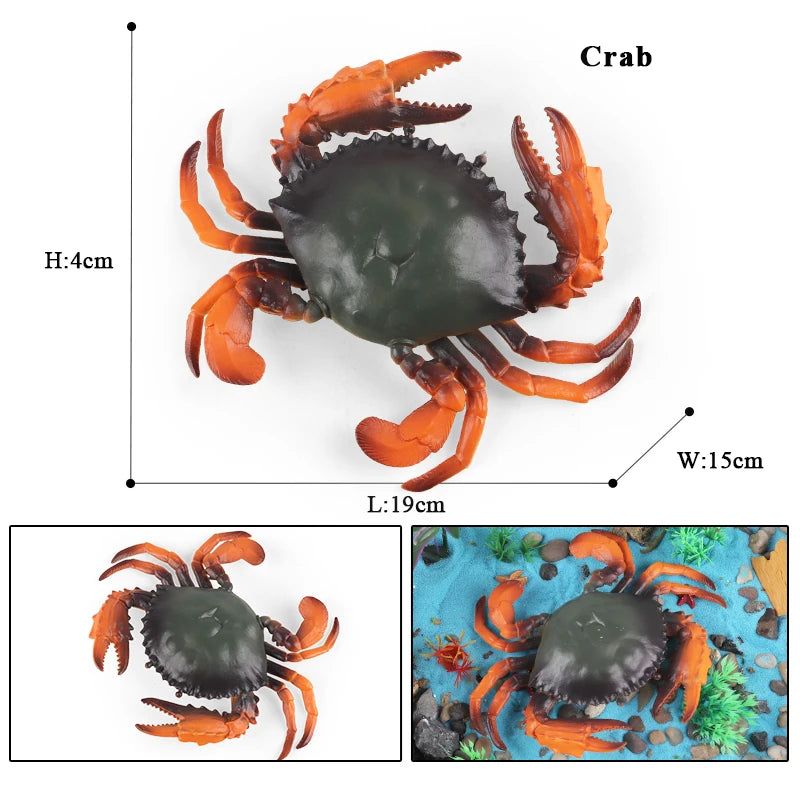 Oenux Ocean Animals Simulation Hermit Crab Nautiloidea Octopus Sea Life Model Figurines Action Figures Collection Kids Toy Gift