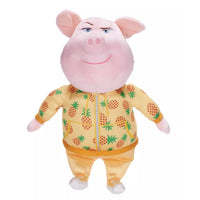 Mr. Pig
