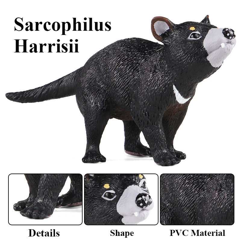 Oenux Forest Wild Animals Badger Brock Tapirus indicus Beaver Anteater Action Figures Model PVC Collection Education Kid Toy