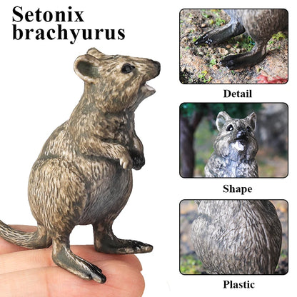 Oenux Wild Animals Simulation Rodent Marmot Mouse Model Squirrel Rat Chinchilla Action Figure Figurine Collection Cute Kid Toy