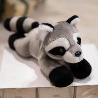 raccoon