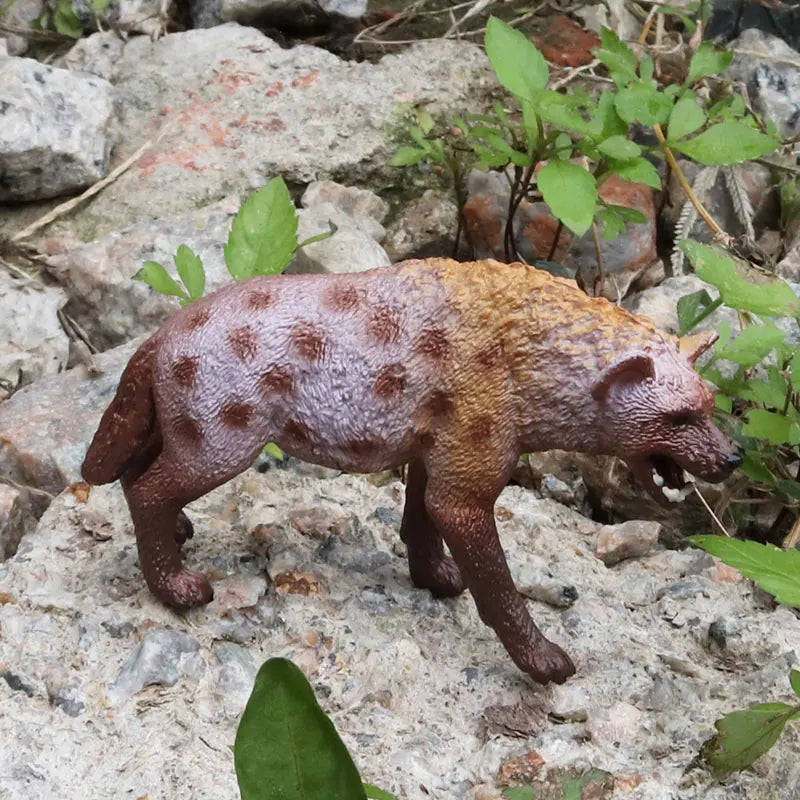 Oenux Classic Wild African Animals Simulation Tiger Hyaenidae Action Figure Figurines PVC Model Education School Kid Toys