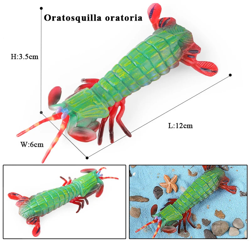 Oenux Ocean Animals Simulation Tiger Prawn Crayfish Shrimp Sea Life Model Figurines Action Figures Collection Toys For Kids Gift