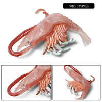 Shrimp model 15