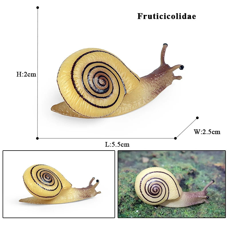 Oenux Wild Insect Animals Snails Growth Cycle Model Garden Decoration Figurines PVC Miniature Cute Education Kids Toys