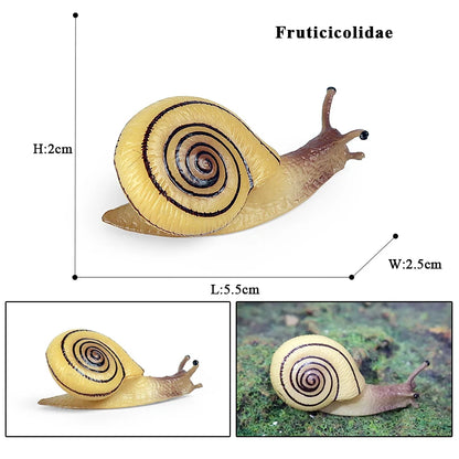 Oenux Wild Insect Animals Snails Growth Cycle Model Garden Decoration Figurines PVC Miniature Cute Education Kids Toys