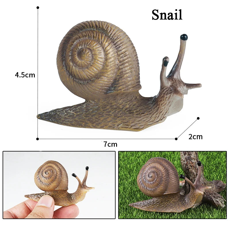 Oenux Wild Insect Animals Snails Growth Cycle Model Garden Decoration Figurines PVC Miniature Cute Education Kids Toys