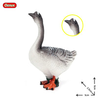 animals model 14