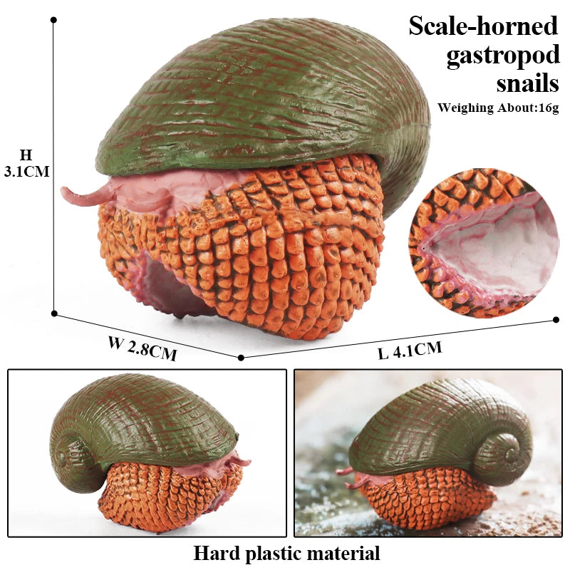 Oenux Wild Insect Animals Snails Growth Cycle Model Garden Decoration Figurines PVC Miniature Cute Education Kids Toys