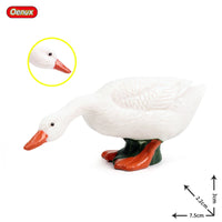 animals model 11