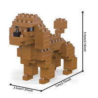 poodle