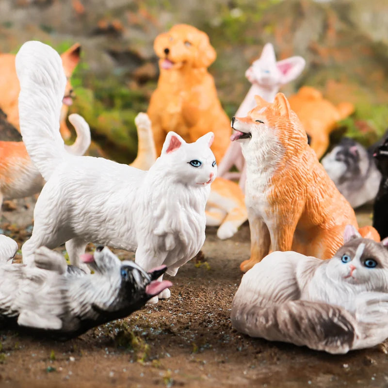 Oenux Montessori Toy Wild Farm Dinosaur Ocean Cat Animals Model Action Figure Zoo Figurines Cute Miniature Education Kid Gift