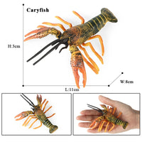 Shrimp model 12