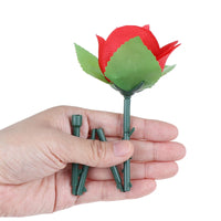 Magic Rose