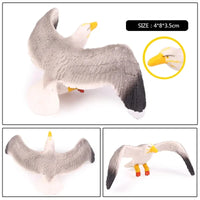 bird 31