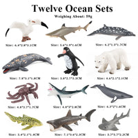 12pcs 17