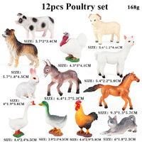 12pcs 21