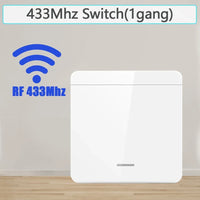 1Gang switch