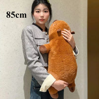85cm