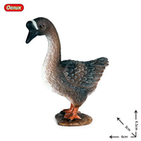 animals model 37