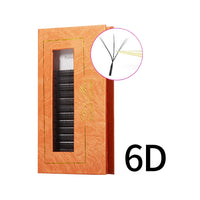 6D