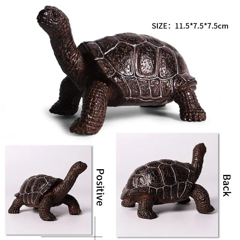 Oenux Ocean Animals  Leatherback Tortoise Turtle Growth Cycle Sea Life Model Figurines Action Figures PVC Education Kid Toy Gift