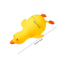 Small duck