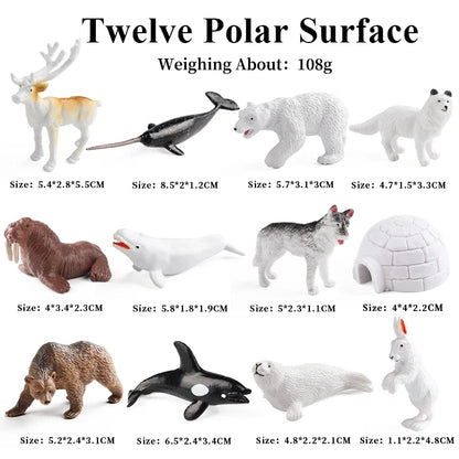 Oenux Arctic South Pole Animals Simulation Penguins Polar Bear Wolf Beluga Whale Action Figures Model Figurine PVC Kid Toy Gift