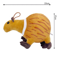 25cm