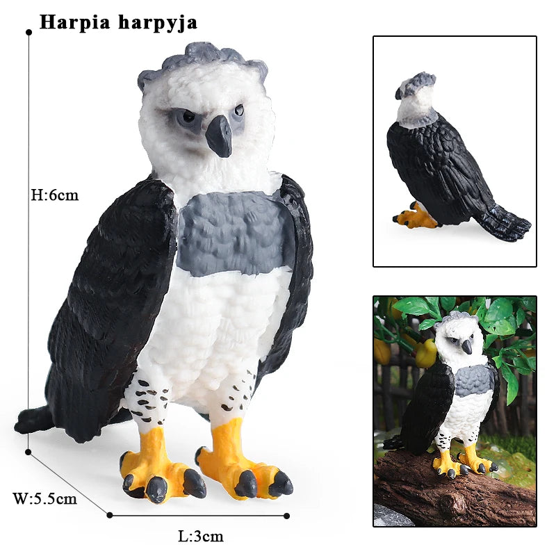 Oenux Garden Bird Figurines Snowy Owl Toucan Bucerotidae Animals Model PVC Action Figures Collection Toys For Kids Birthday Gift