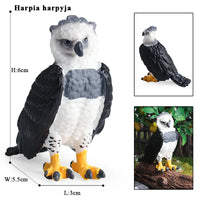 bird 10