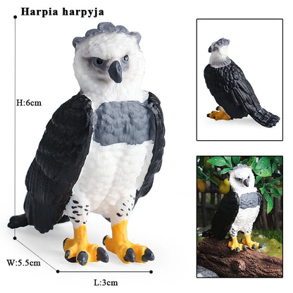 Oenux Garden Bird Figurines Snowy Owl Toucan Bucerotidae Animals Model PVC Action Figures Collection Toys For Kids Birthday Gift
