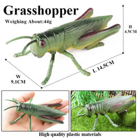 insect model 9