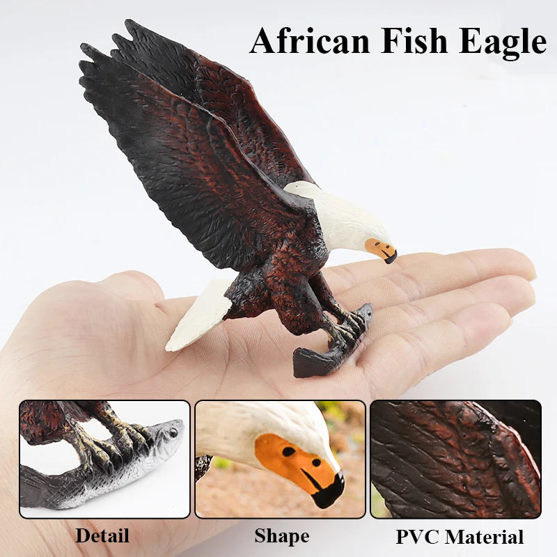 Oenux Wild Bird Animals Forest Night Eagle Condor Figurines PVC Action Figure Garden Decoration Education Miniature Toy Kid Gift