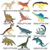 12pcs 3