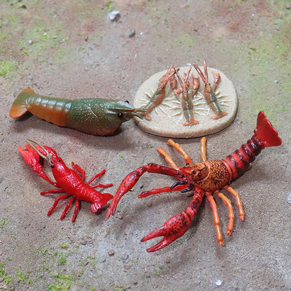 Oenux Ocean Animals Simulation Tiger Prawn Crayfish Shrimp Sea Life Model Figurines Action Figures Collection Toys For Kids Gift