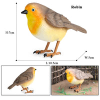 bird 12