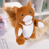 squirrel