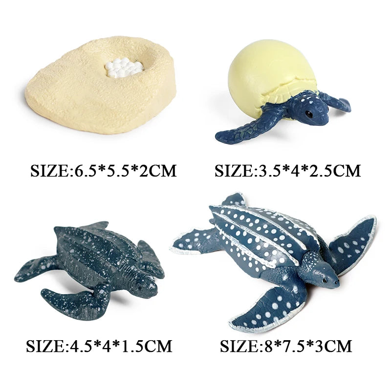 Oenux Ocean Animals  Leatherback Tortoise Turtle Growth Cycle Sea Life Model Figurines Action Figures PVC Education Kid Toy Gift