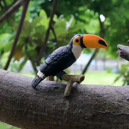 Oenux Garden Bird Figurines Snowy Owl Toucan Bucerotidae Animals Model PVC Action Figures Collection Toys For Kids Birthday Gift