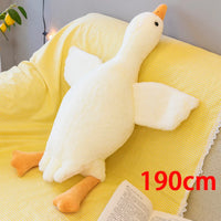 190cm